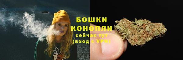 сатива Орехово-Зуево
