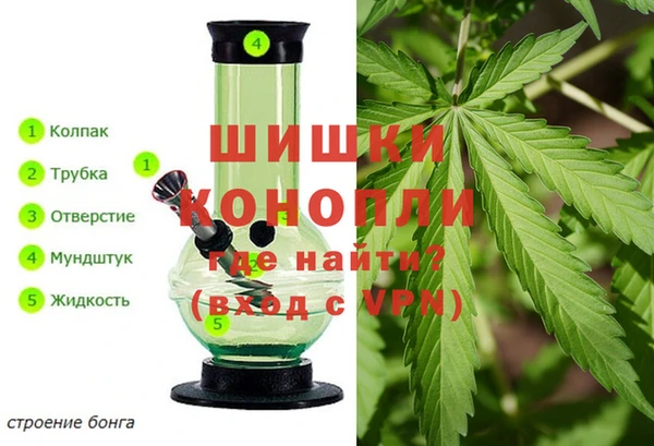 спайс Магас