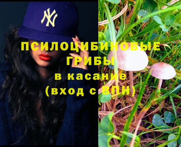 спайс Магас
